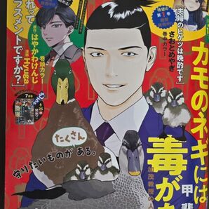 グランドジャンプ 2025年7月2日号 (集英社)