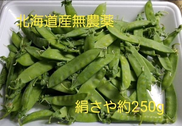 北海道産 無農薬 絹さやエンドウ 250g