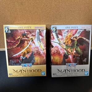 ONE PIECE MANHOOD -SPECIAL ver.- GOL.D.ROGER EDWARD.NEWGATE