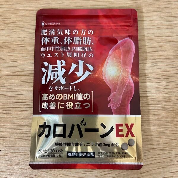 カロバーンEX 30日分