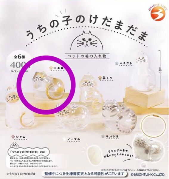 うちの子のけだまだま 三毛猫 ガチャ