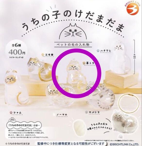 うちの子のけだまだま 茶トラ ガチャ