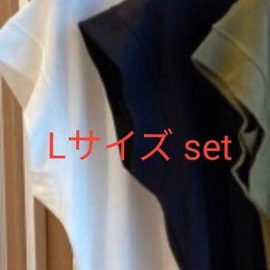 【新品/送料込】Lサイズ 2点セット レディース 半袖 カジュアル tシャツ カットソー 白 ホワイト オフィスカジュアル