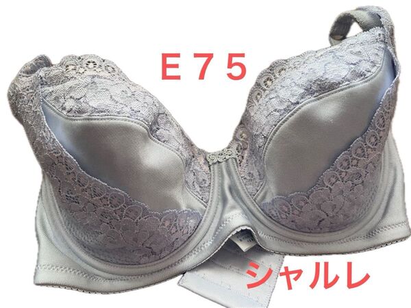 シャルレ ブラジャー 新品 E75 Eカップ 3段ホック ロングセラー 人気 水色 ワイヤー入り 補正下着 補正ブラ レース