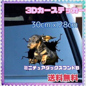 【まとめ割あり】ミニチュアダックス 横向き カーステッカー 犬 3D 傷隠し