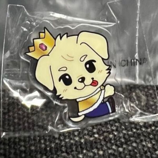 三代目 岩田剛典 フラッグアクセサリー、缶バッジキーホルダー KING DOM ガチャ