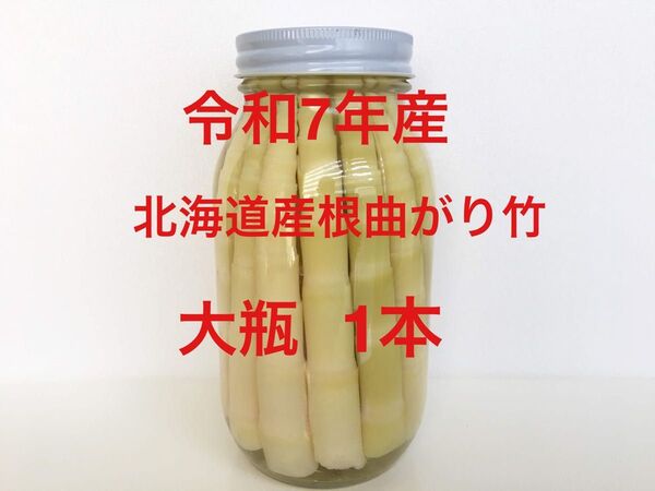 令和7年産 朝採り北海道産根曲がり竹 大瓶1本