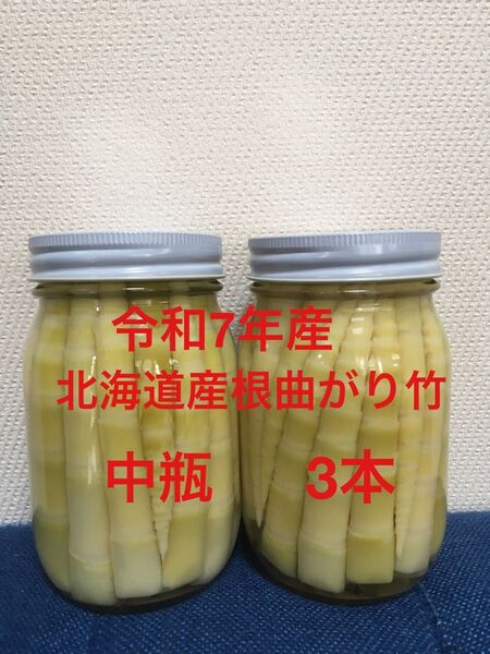 令和7年産 朝採り北海道産根曲がり竹 中瓶3本