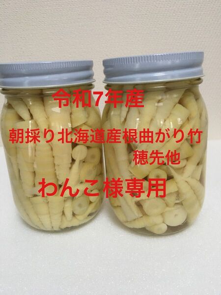 令和7年産 朝採り北海道産根曲がり竹穂先他 中瓶
