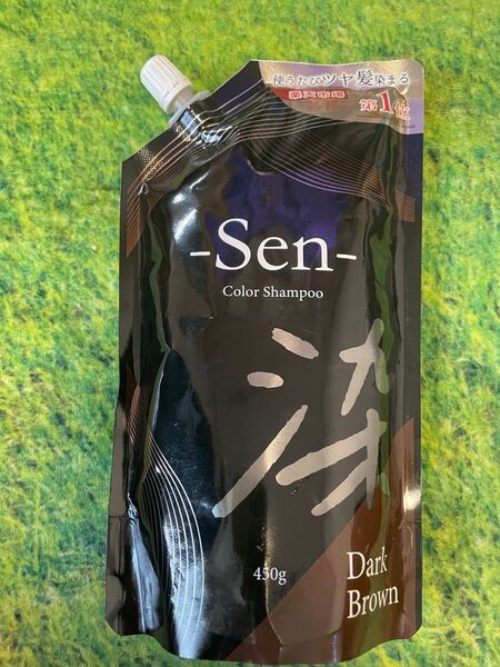 ピコモンテ Sen せん カラーシャンプー ダークブラウン 450g 1袋