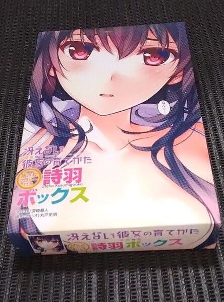 冴えない彼女の育て方 抱き枕カバー 詩羽ボックス