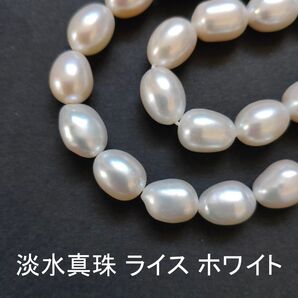淡水真珠 パール ライス ホワイト 10粒(11cm)