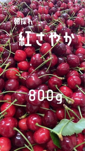 山形県産紅さやか800g
