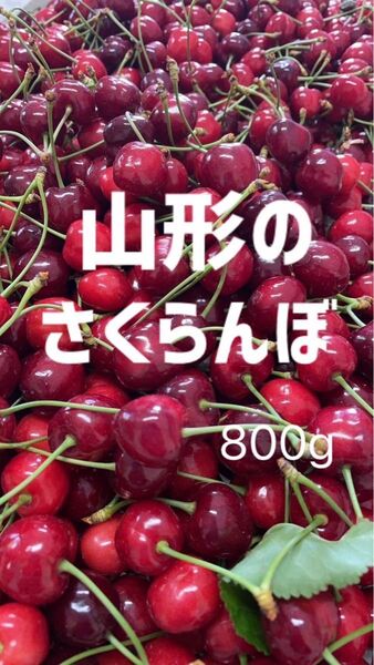 貴重な山形の佐藤錦800g