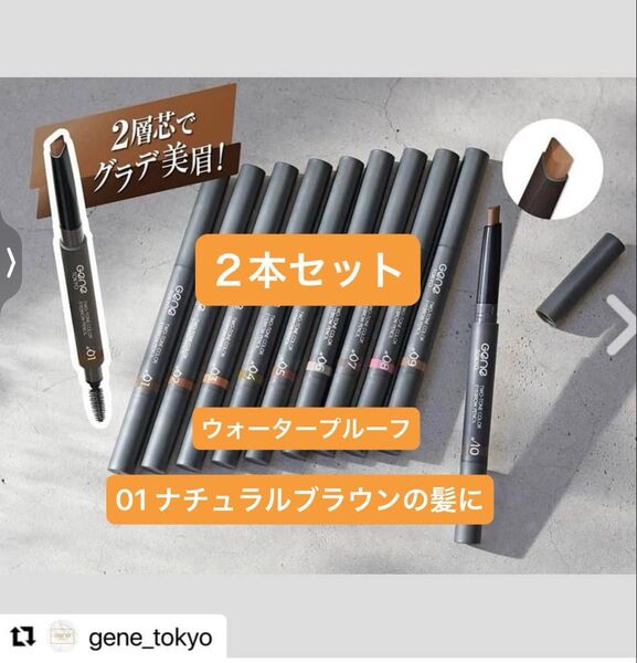 2本 01 ナチュラルブラウンの髪に【新品】アイブロウペンシル ツートンカラー ウォータープルーフ 三角芯 スクリューブラシ付き