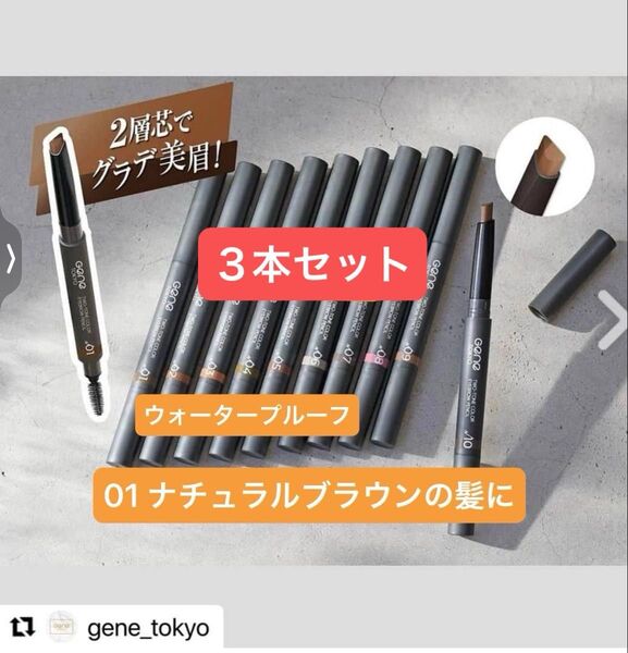 3本 01 ナチュラルブラウンの髪に【新品】アイブロウペンシル ツートンカラー ウォータープルーフ 三角芯 スクリューブラシ付き