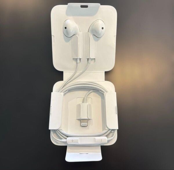 Apple 純正 イヤホン ライトニング