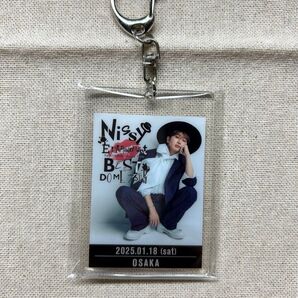 【おまとめ分】Nissy RE:10th DOME TOUR プレミアムシート 大阪キーホルダー&ガーランド