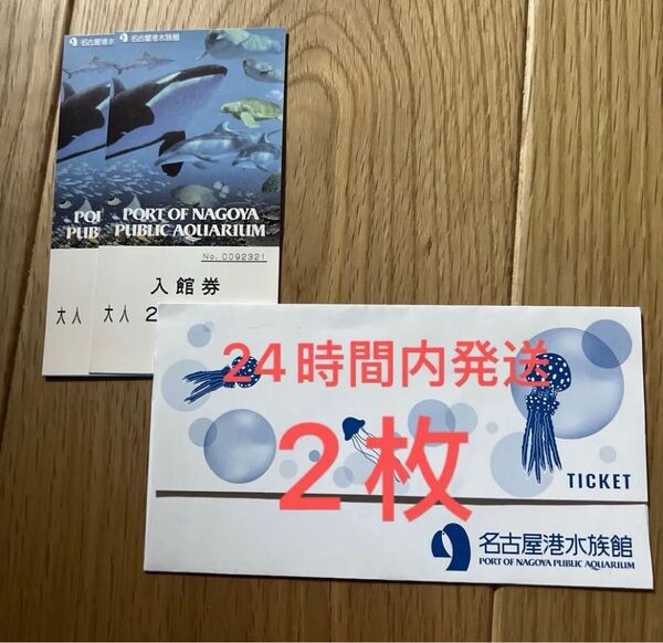 名古屋水族館 大人2枚 入場券 利用期限なし