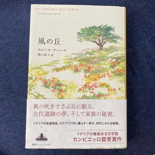 風の丘 (CREST BOOKS) カルミネ・アバーテ/著 関口英子/訳