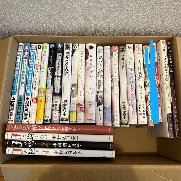 BLコミック23冊セット