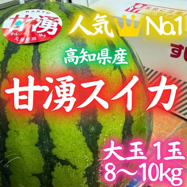 3高知県産 甘湧 スイカ 1玉 大玉サイズ 約8~10kg 産地直送 送料無料