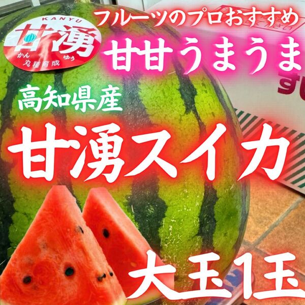 3高知県産 甘湧 スイカ 1玉 大玉サイズ 約8~10kg 産地直送 送料無料