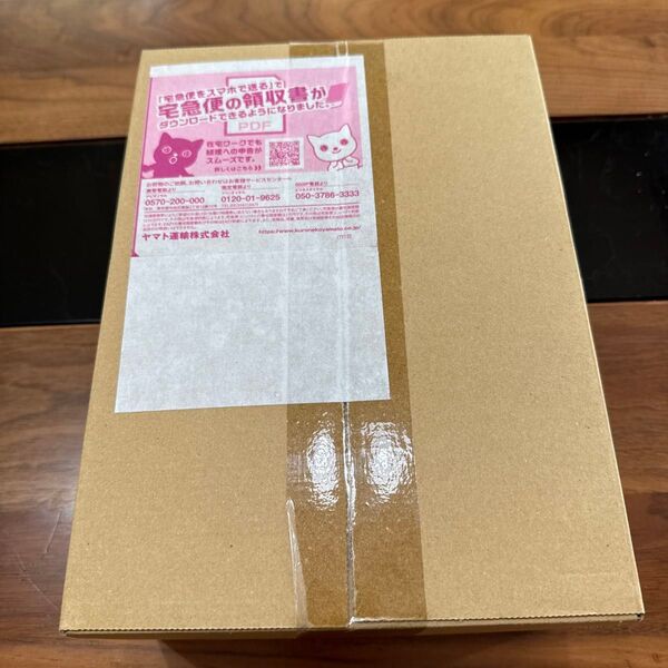 横浜記念デッキ ピカチュウ