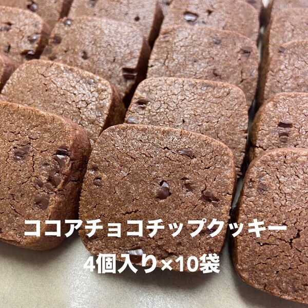 ココアチョコチップクッキー 10袋
