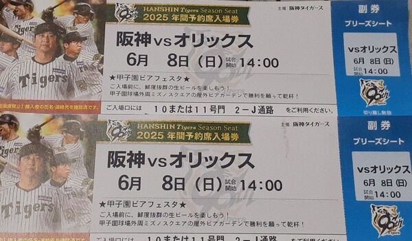 通路側★6月8日(日)阪神vsオリックス ☆☆ブリーズシート指定 2連番
