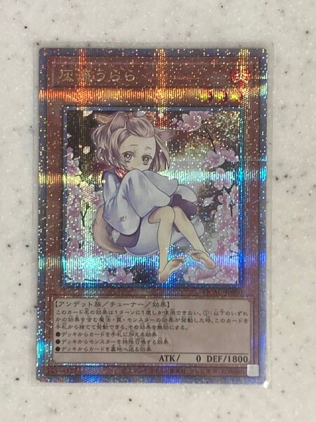 遊戯王 灰流うらら 25th シークレット イラスト違い