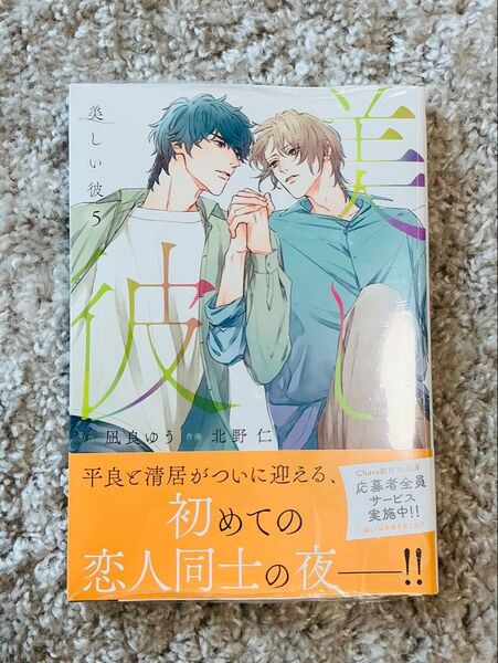 「美しい彼(5)」北野 仁 / 凪良ゆう