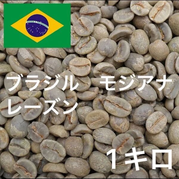 ブラジル モジアナ レーズン コーヒー生豆 珈琲生豆 1キロ ニュークロップ
