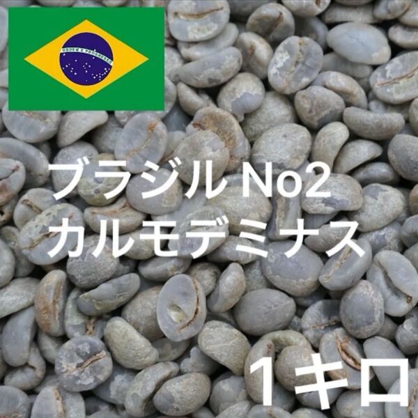 ブラジル No2 カルモデミナス Qグレード コーヒー生豆 珈琲生豆 ニュークロップ 1キロ