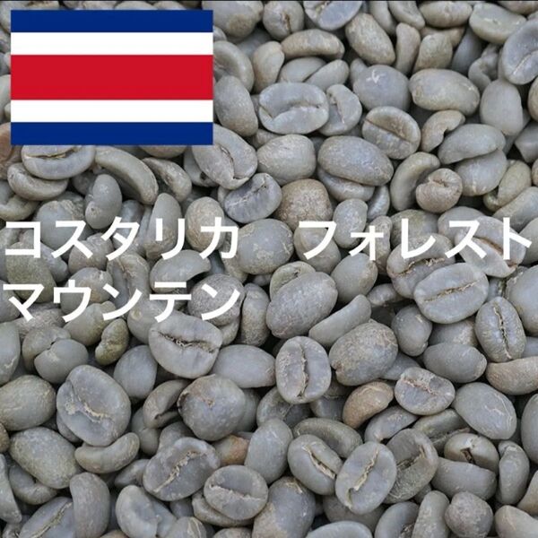 コスタリカ フォレストマウンテン Qグレード 珈琲生豆 コーヒー生豆 1キロ