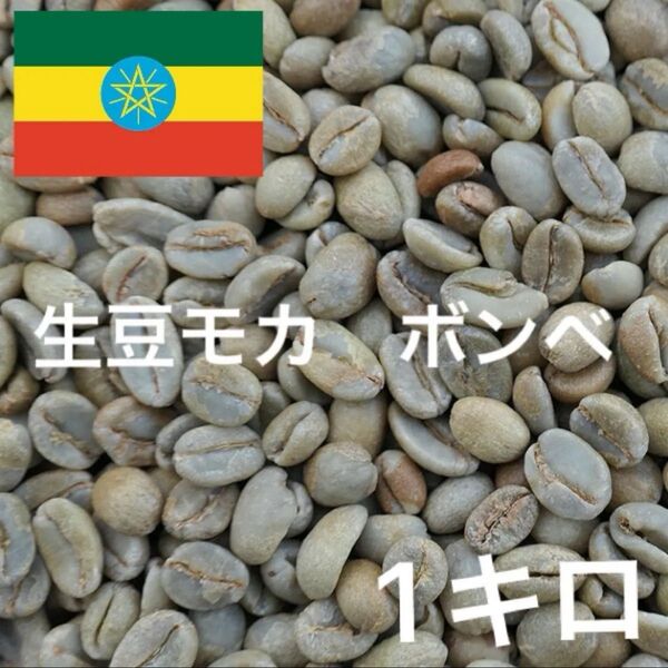 生豆モカ ボンベ G-4 コーヒー生豆 珈琲生豆 ニュークロップ 1キロ