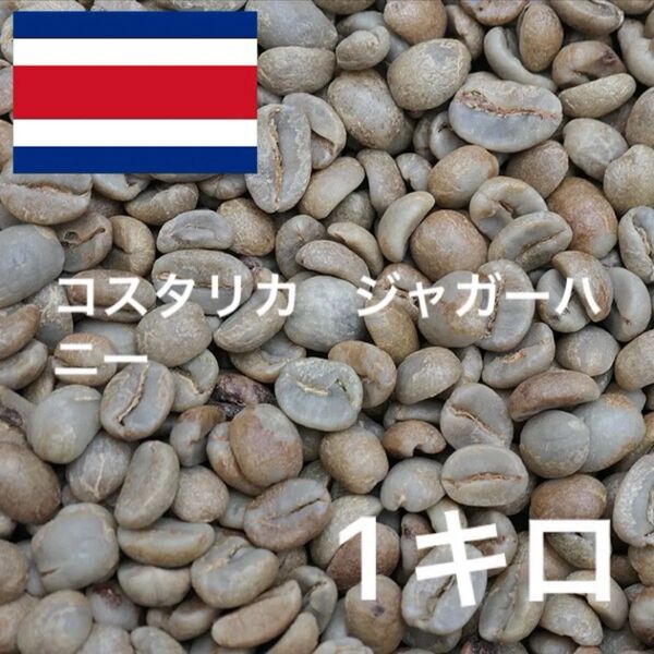 コスタリカ ジャガーハニー コーヒー生豆 珈琲生豆 ニュークロップ 1キロ