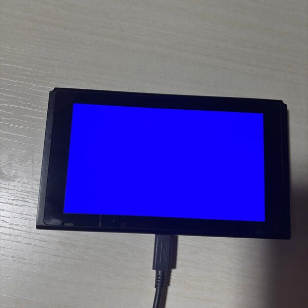 Switch 本体 ブルースクリーン