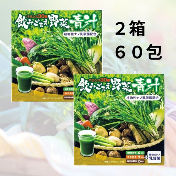 エバーライフ 飲みごたえ野菜青汁 30包 2箱セット