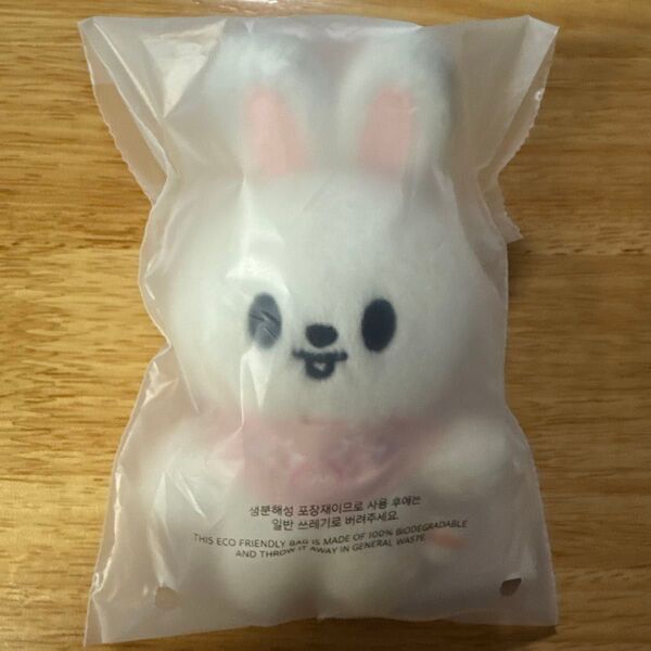 StrayKids SKZOOペンミ ぬい スキズ リービット 10cm