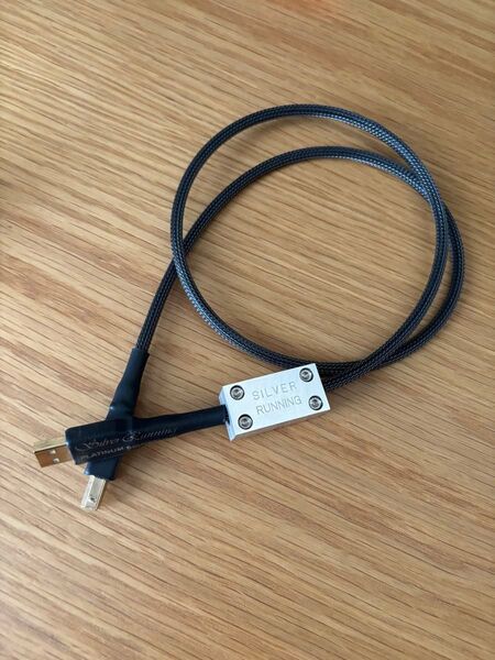 Platinum Generation USB Silver Running