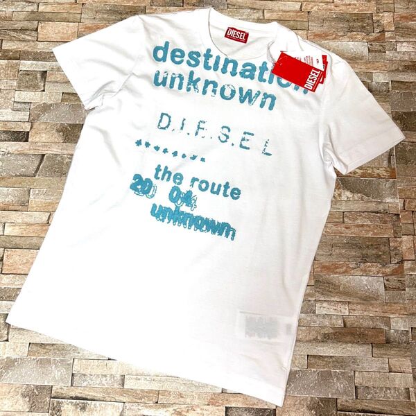 【新品】DIESEL ディーゼル/クルーネック クラックプリント Tシャツ カットソー 半袖 Sサイズ
