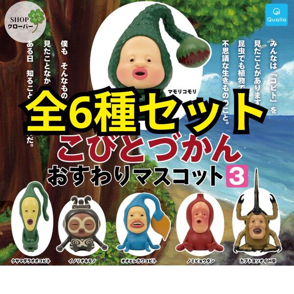 全6種コンプリートセット こびとづかん おすわりマスコット3 置物オブジェフィギュア