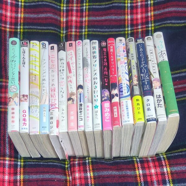 BL ボーイズラブ 17冊 内15冊帯付き 一部購入特典付き バラ売りの場合1冊500円
