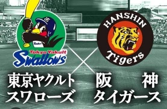 8/3 (日) ヤクルトvs阪神 A2指定席3塁側 1枚