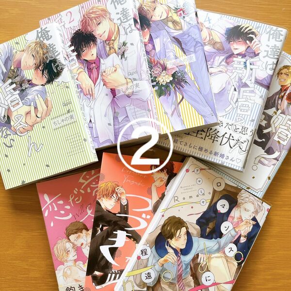 ☆即購入不可 2個口発送② 俺達は新婚さんかもしれない1〜4/新婚さん/ロマンスには程遠い/ぼくらのつづき 他 8冊セット