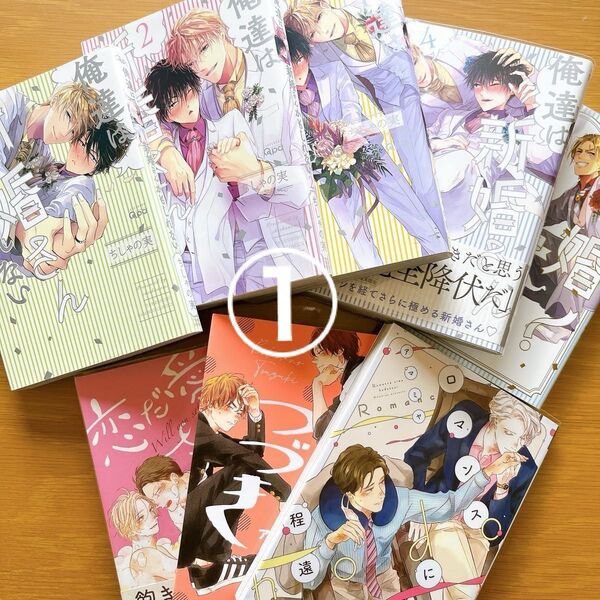 ☆即購入不可 2個口発送① 俺達は新婚さんかもしれない1~4/新婚さん/ロマンスには程遠い/ぼくらのつづき 他 8冊セット