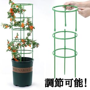 支柱 グリーン 園芸 プランター トマト バラ