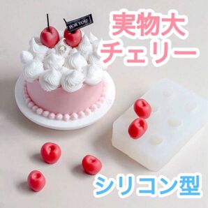 実物大 チェリー さくらんぼ シリコンモールド シリコン型 フェイクスイーツ 果物 ハンドメイド 食品サンプル キャンドル 粘土