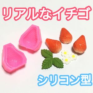 リアル イチゴ シリコンモールド シリコン型 いちご 苺 ストロベリー 合わせ型 ハンドメイド パーツ フェイクスイーツ 粘土